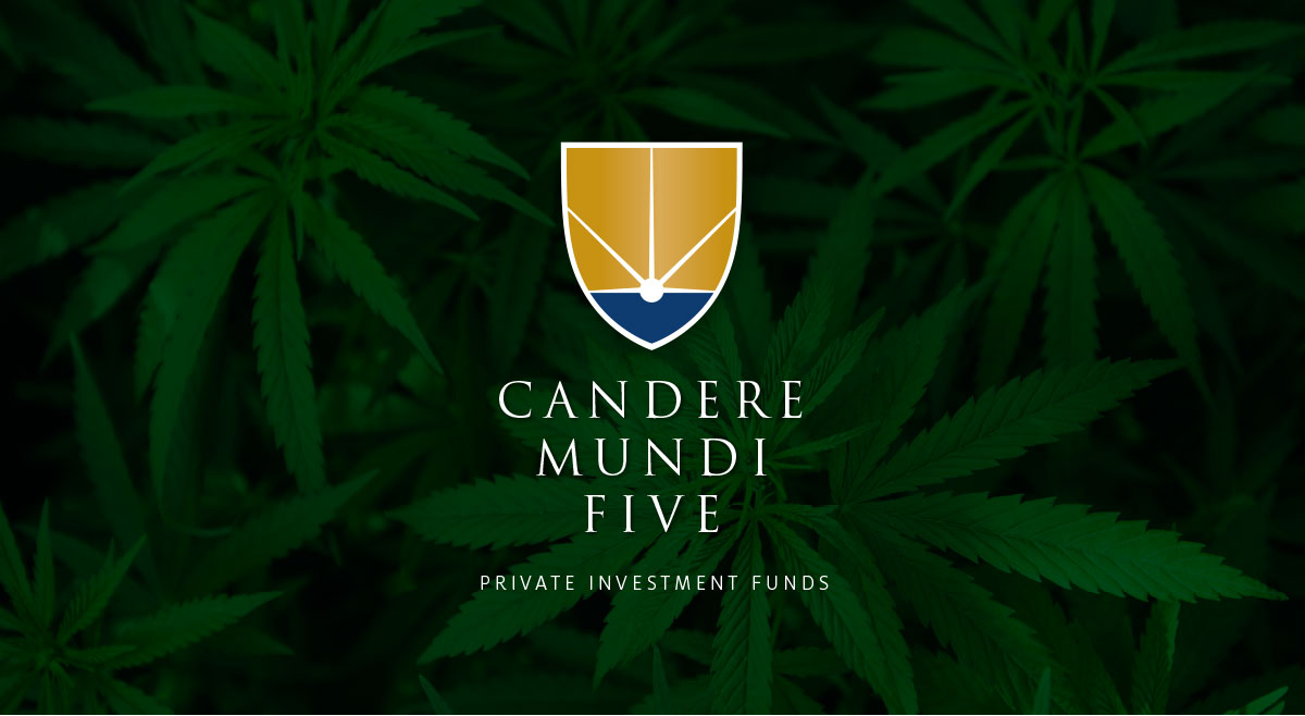 Candere Mundi Five branding