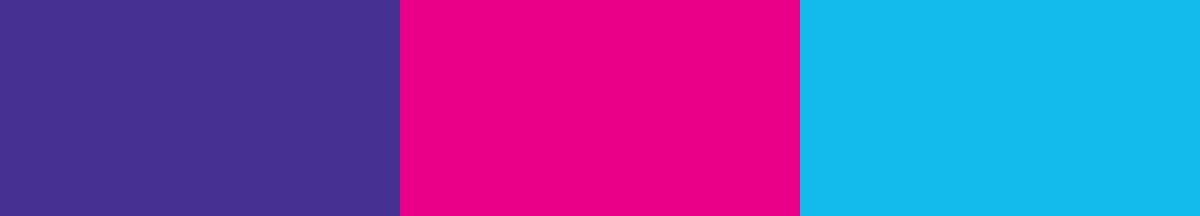 Pinkard Brand color palette