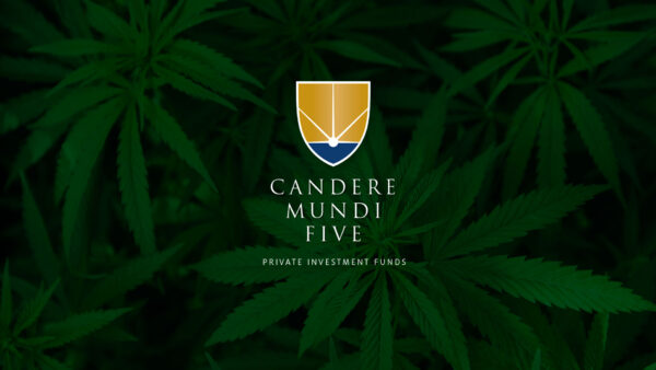 Bluebird CandereMundiFive LogoHero