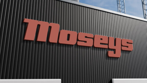 Bluebird Moseys Sign