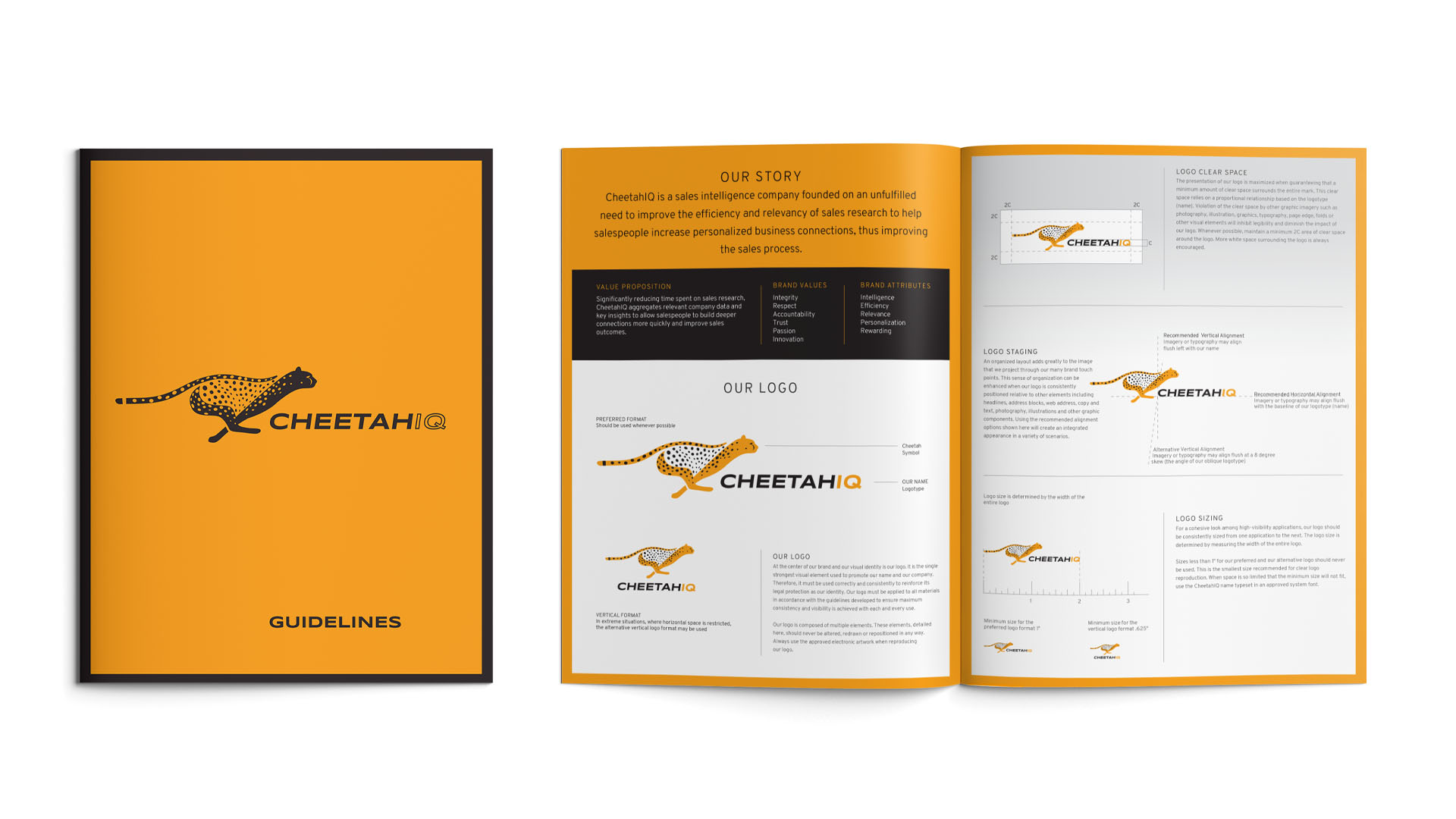 Cheetah IQ Brand Logo Guidelines