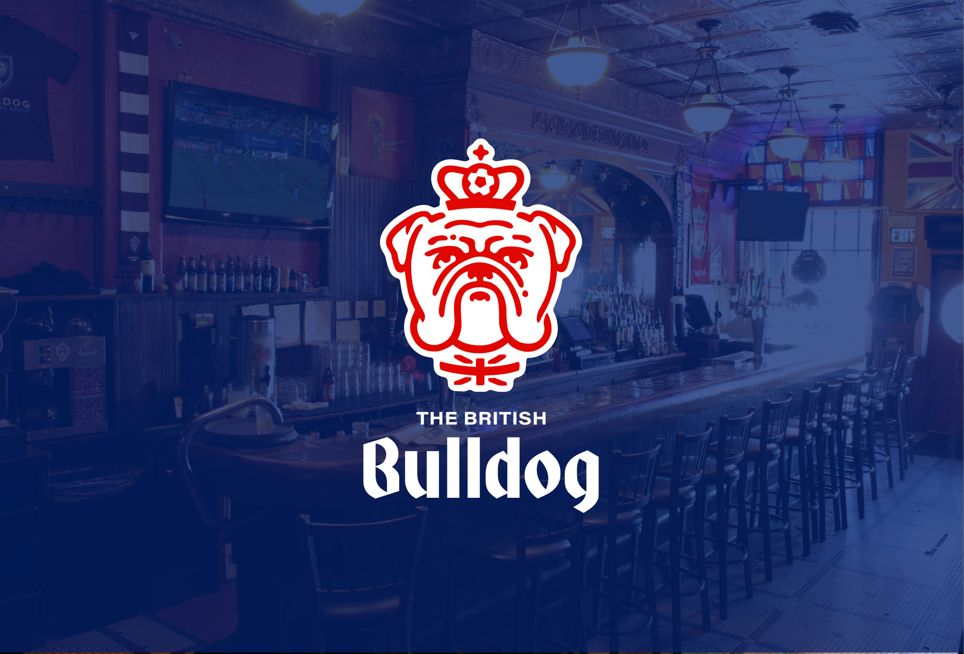 Bluebird Bulldog Hero