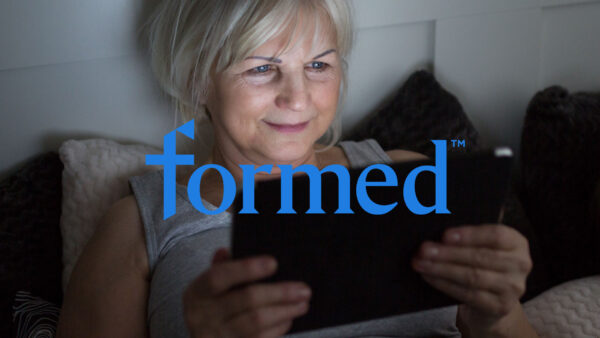 Bluebird Branding Formed experience