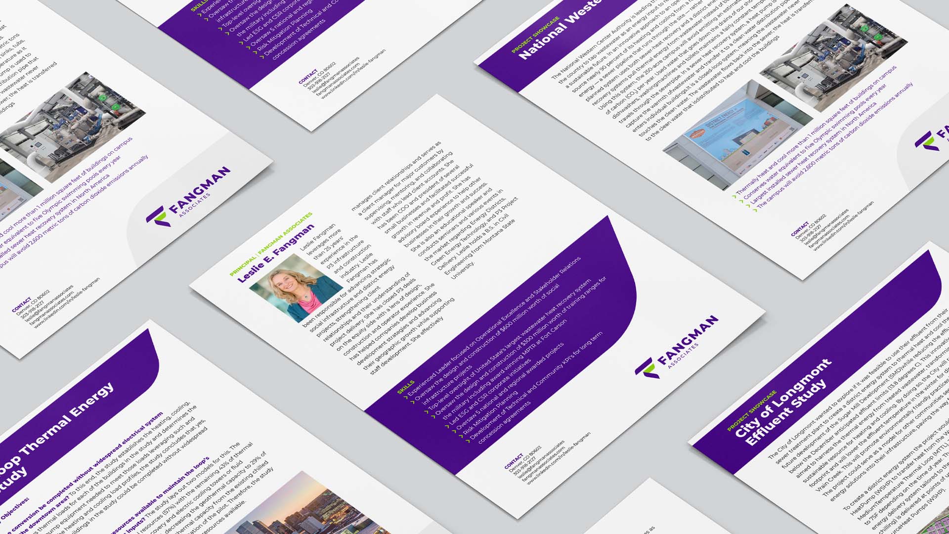 Bluebird Branding Fangman Associates one sheets